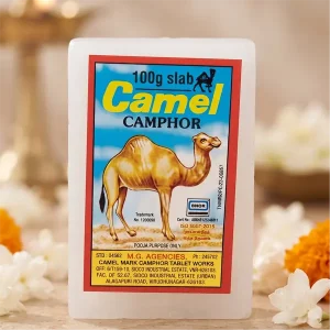 100g-slab-camphor