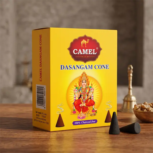 dasangam-cone